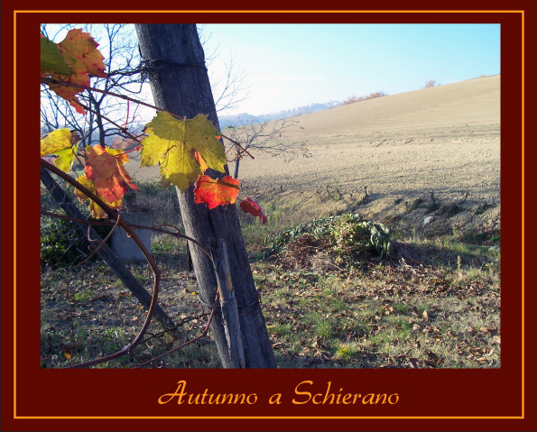 Autunno A Schierano1