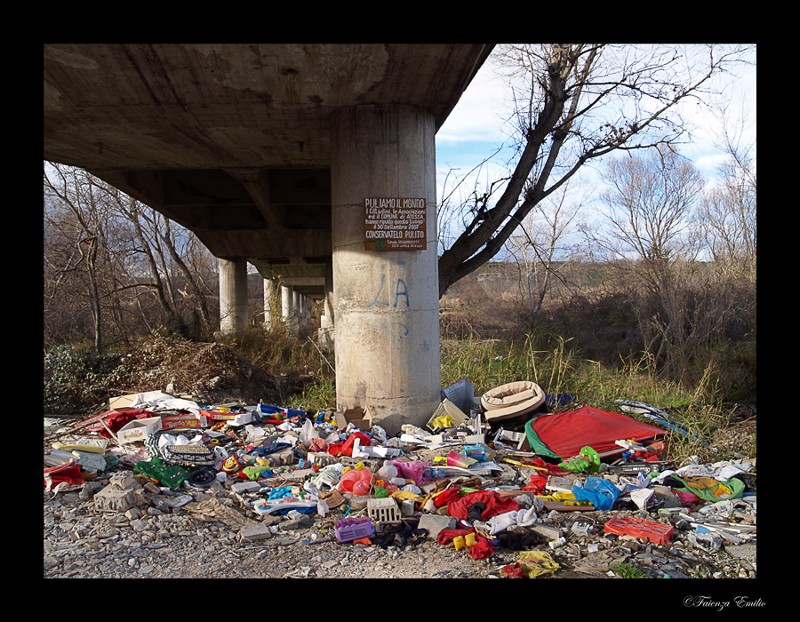 I VERI ANIMALI SIAMO NOI