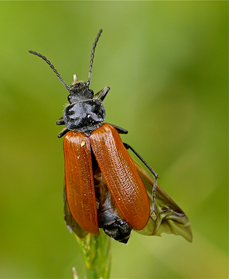 Risveglio in montagna