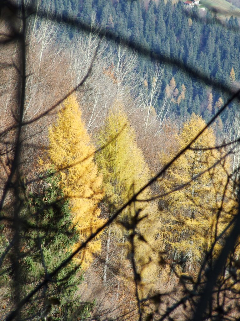 Colori d'autunno