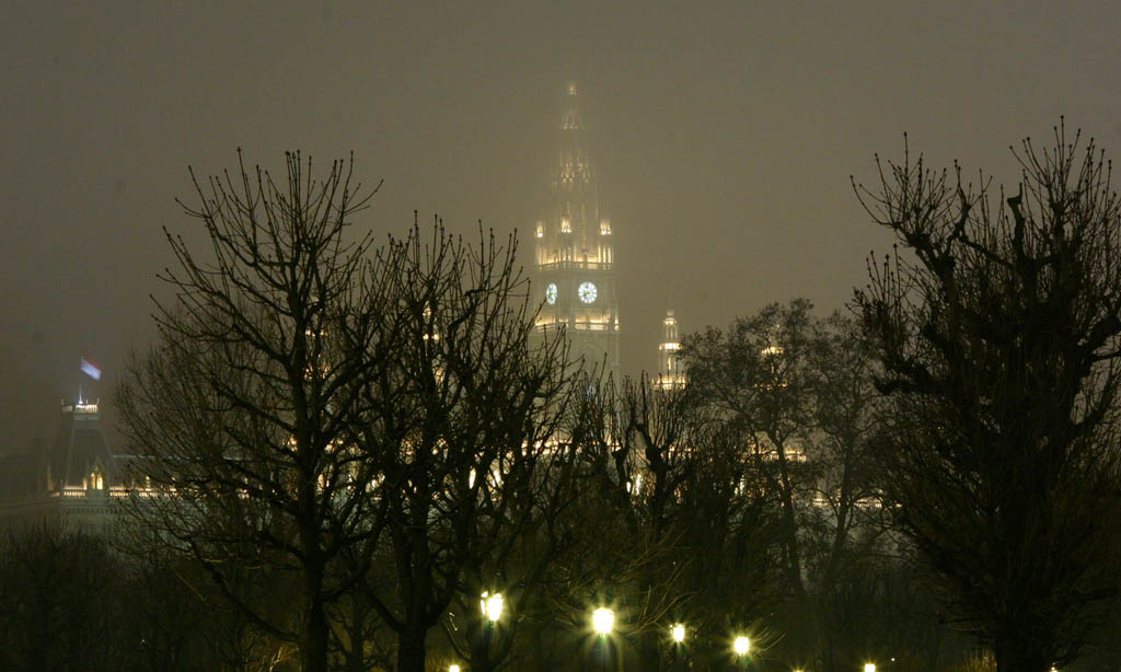 nebbia su vienna