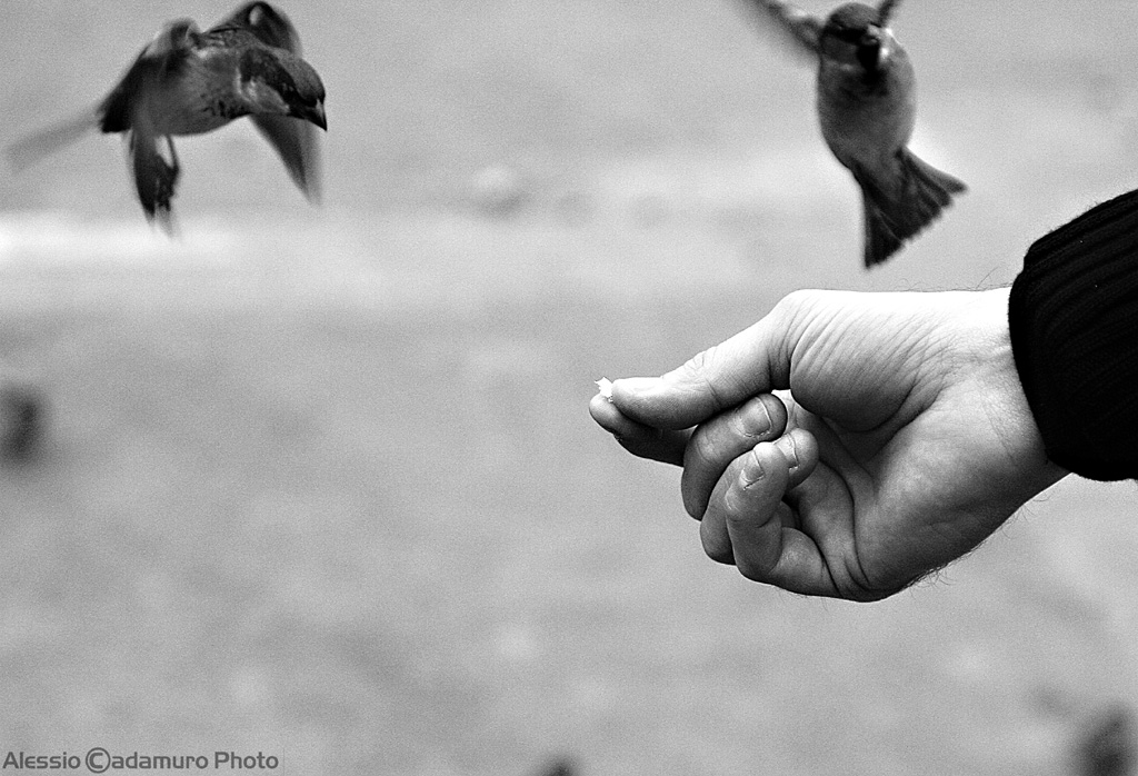 Un briciolo di speranza