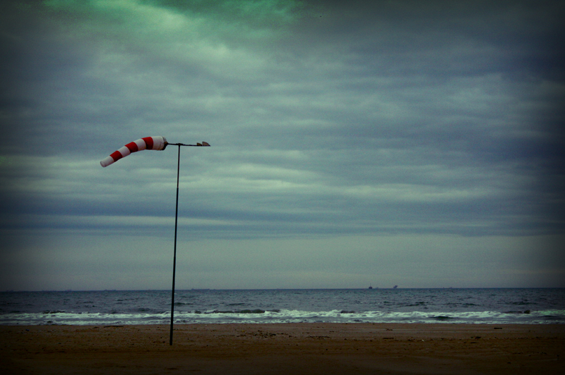 seguendo il proprio vento