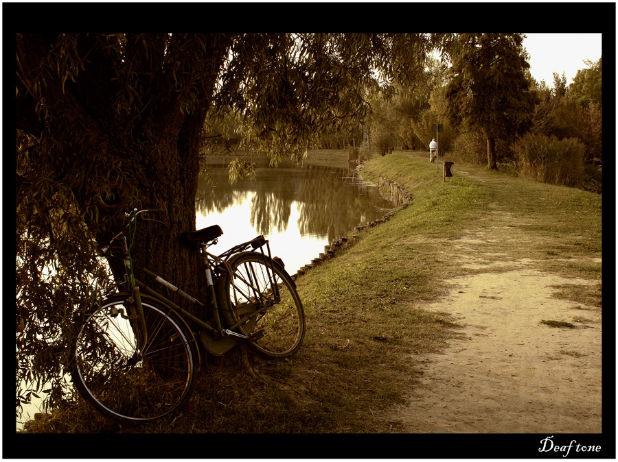 Ritratto di una giornata pacifica