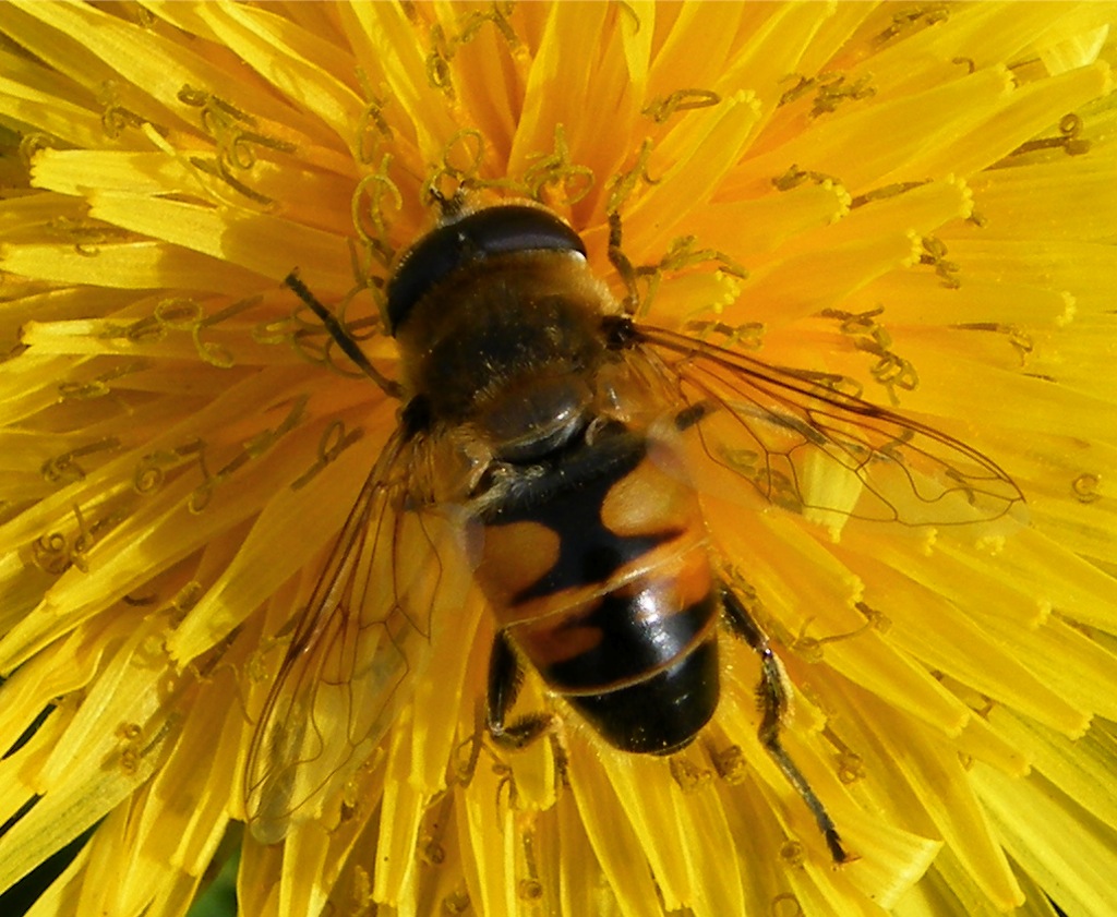 finalmente � andata in mezzo!