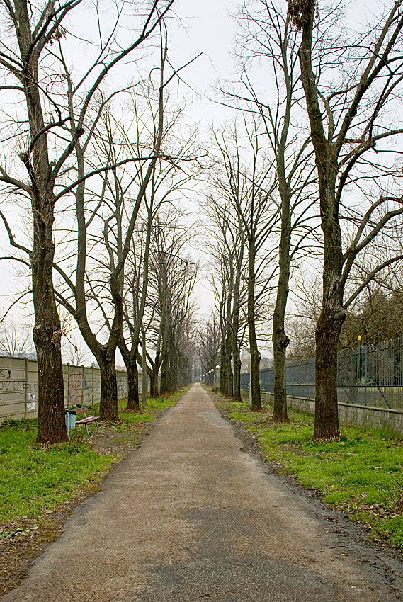 Non solo spoglio, anche recintato!