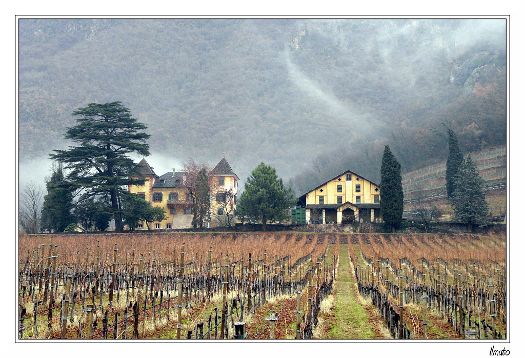 I colori della Tenuta