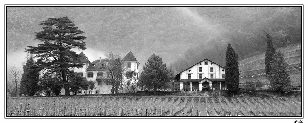 Tenuta in biancoenero