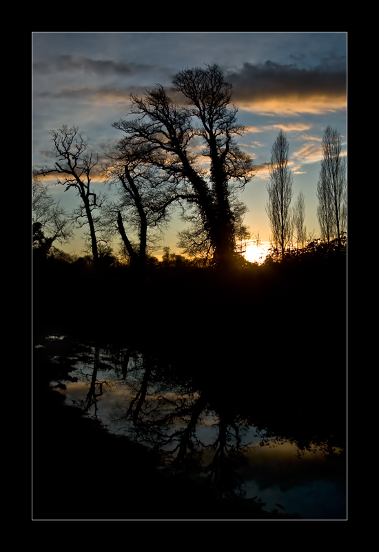 Tramonto a SanRossore