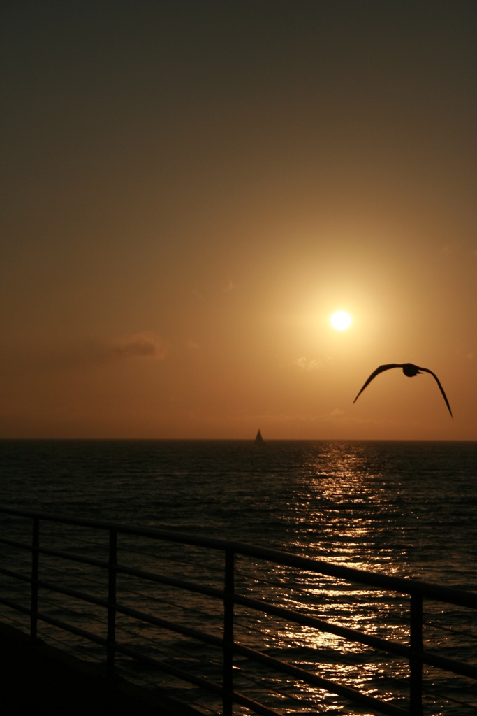 Tramonto Santa Monica 2