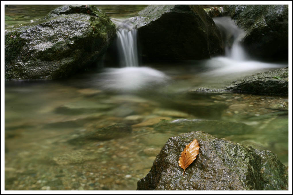 D'autunno . . . . . .