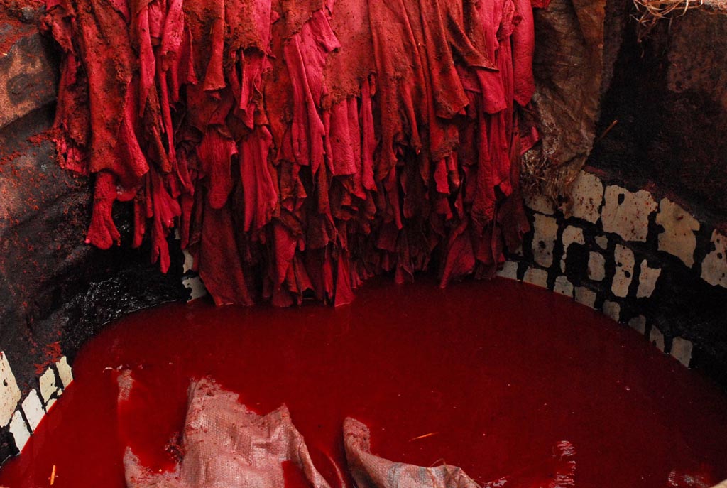 Vasca di un conciatore a Fes