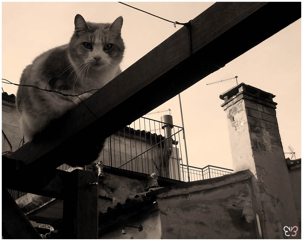 Quando ti guardano dall'alto al basso...