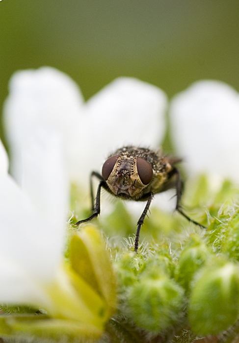 Purtroppo di meglio non c'�