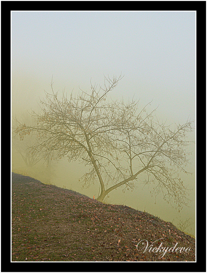....e dietro solo nebbia.