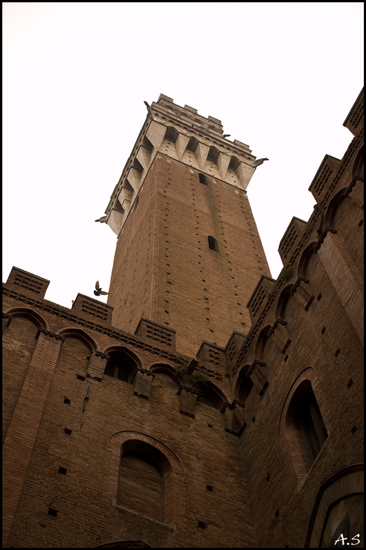 Torre di veNdetta...