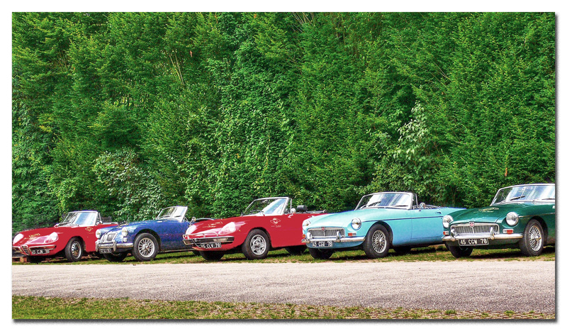 ..cars..motori ruggenti