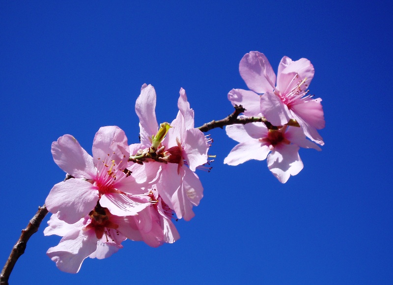 Aspettando la primavera