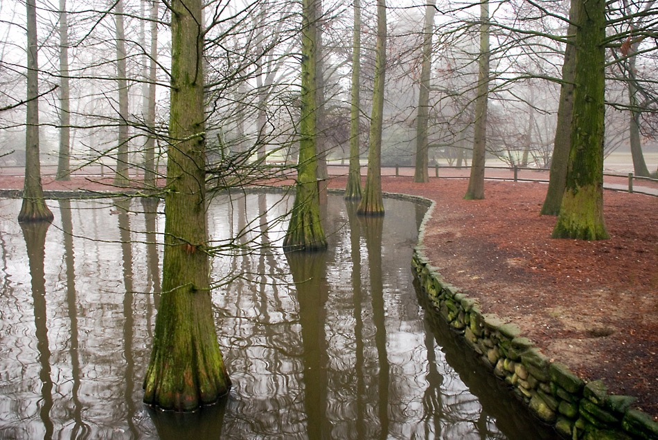 La tranquillit� del mattino