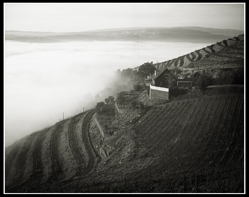 Valle del Douro, Portogallo