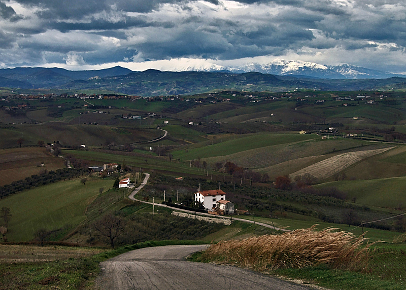 Strada di campagna