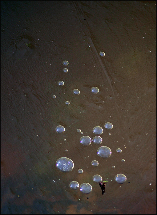 bubbles trapped on ice