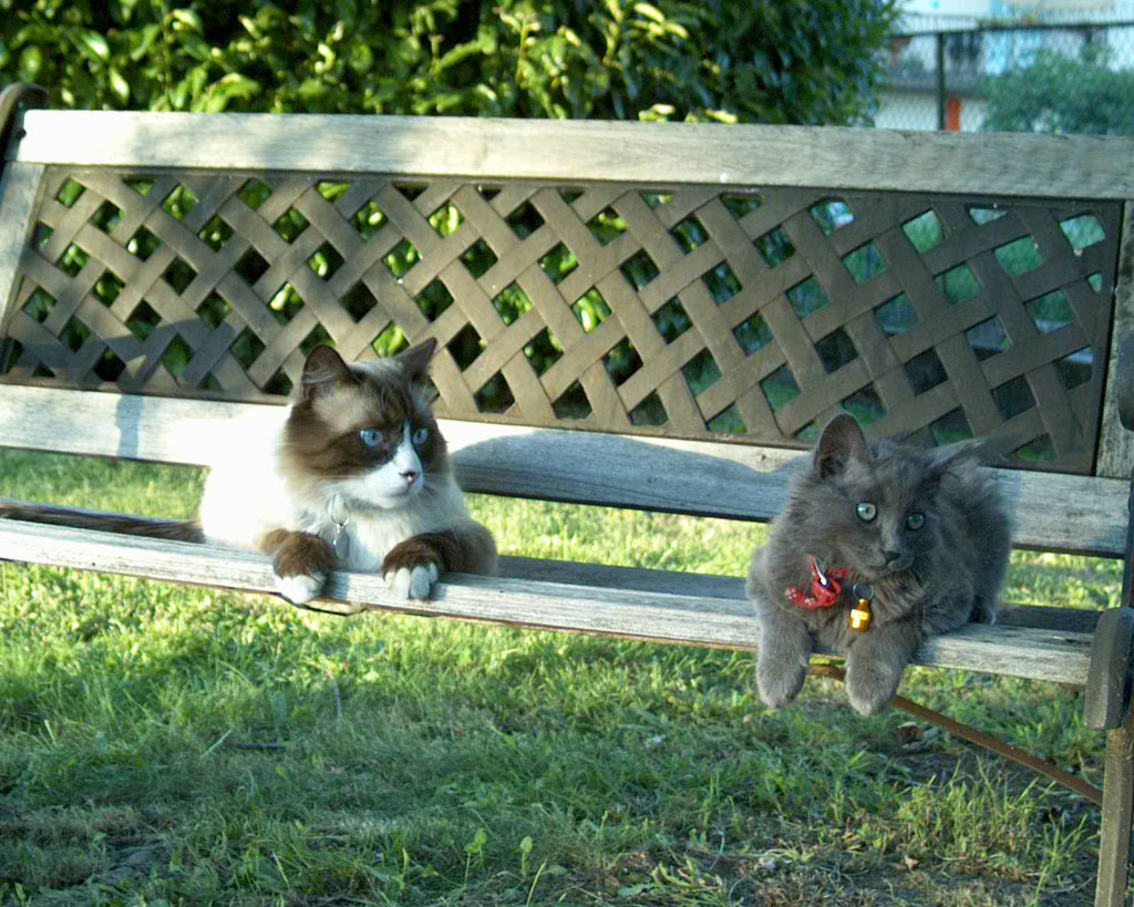 I miei tessssssssssssssssori.....