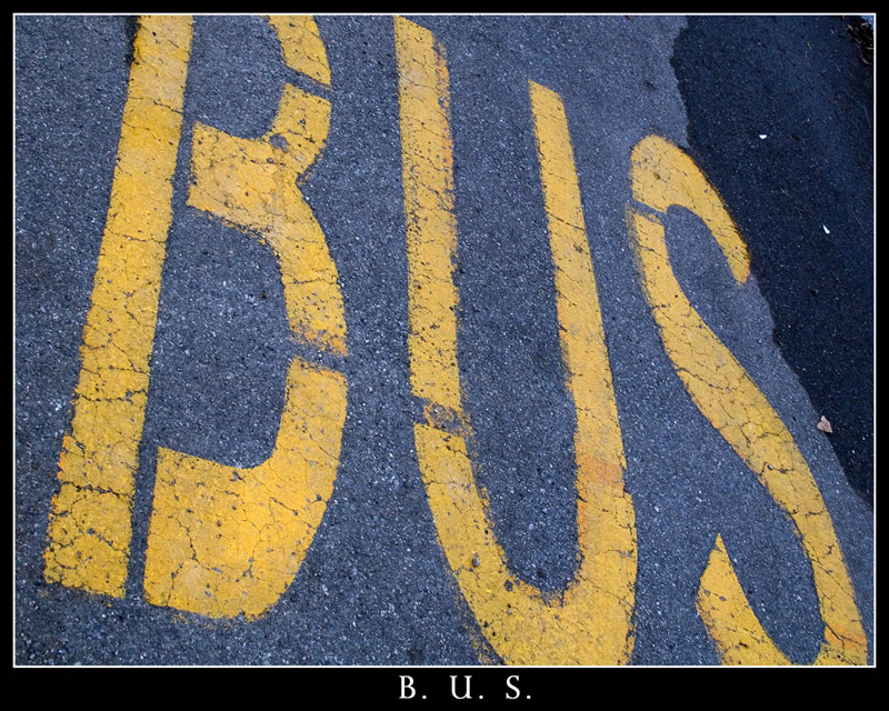 B U S