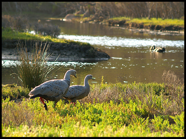 Wilson's Promontory (Australia)
