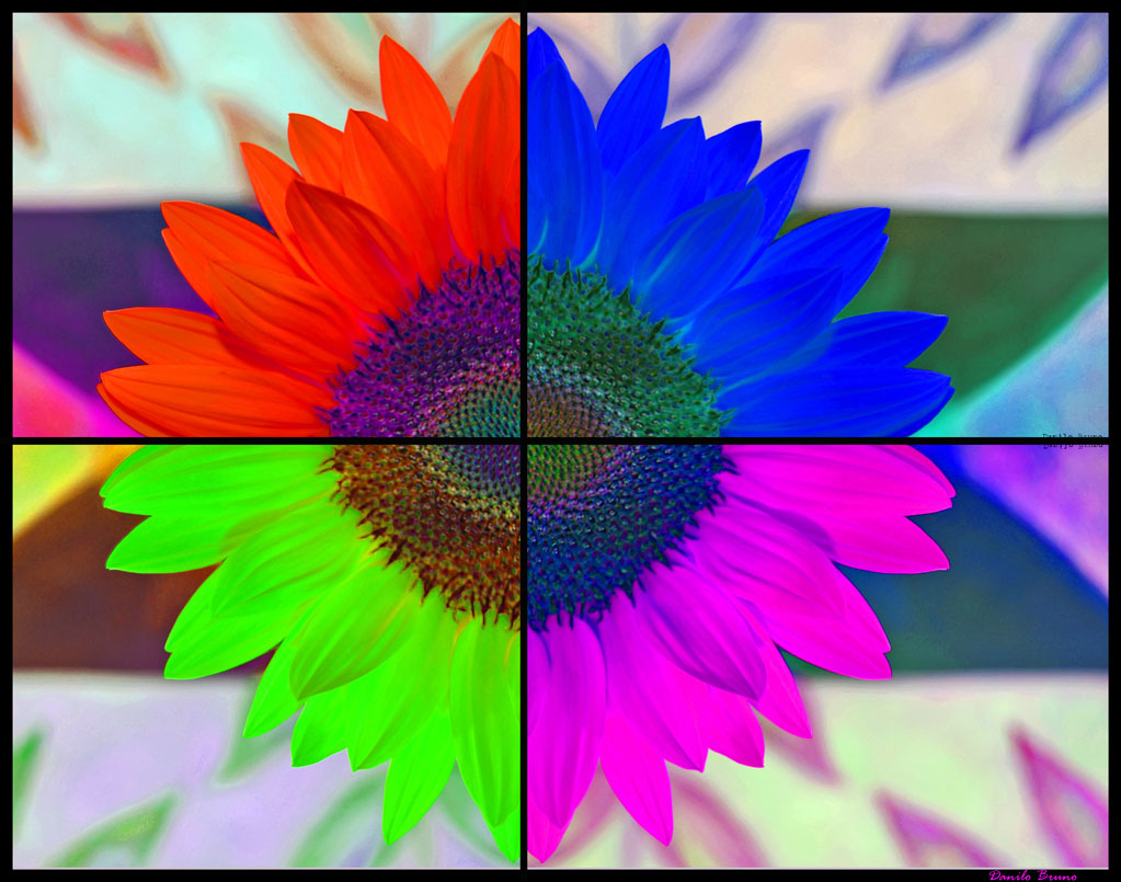 un p� handy warhol