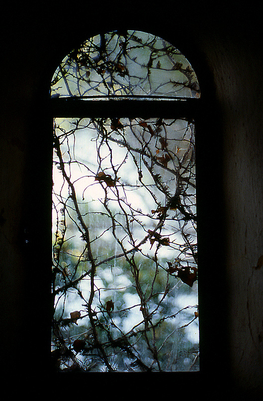 Inverno alla finestra