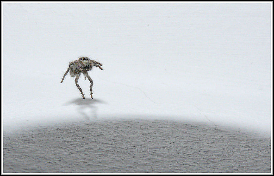 Allenamento nella Stanza dello Spirito e del Tempo
