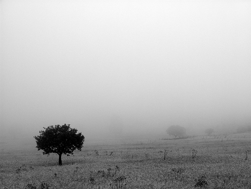 ...per poi perdersi...