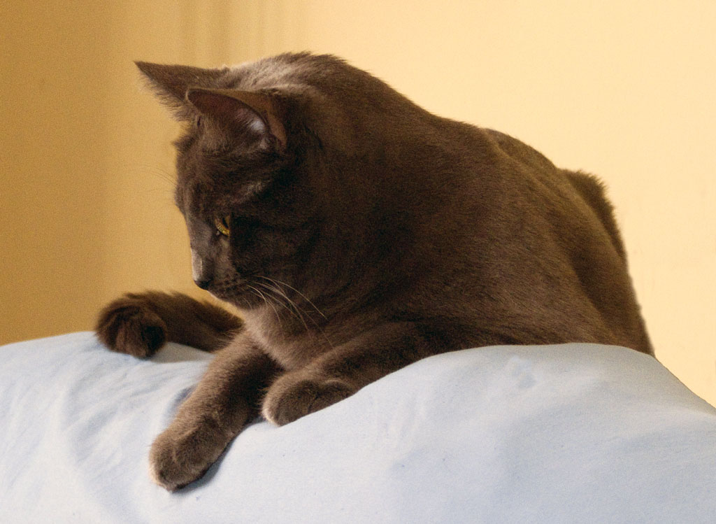 Un'altra foto della Ciccia