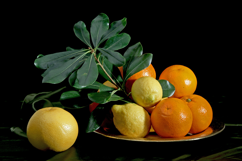 prove luce in still life