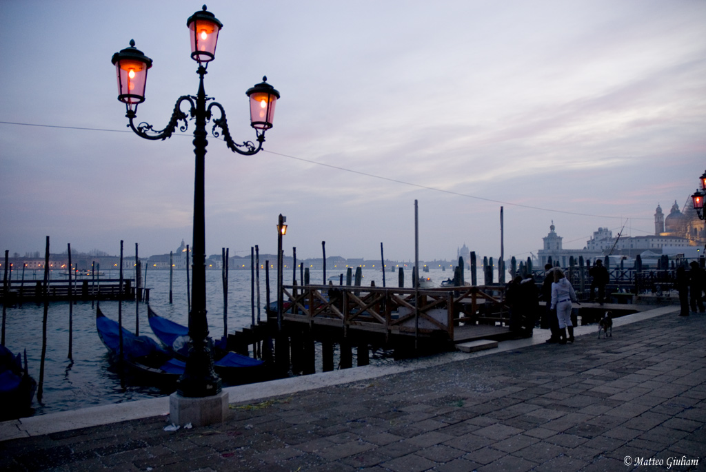 VENEZIA 2008