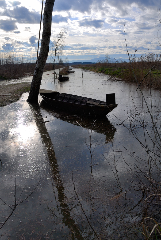il cielo sulla palude