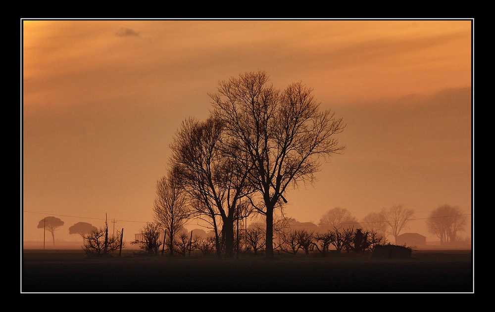 Cala la nebbia nell'ultimo sole