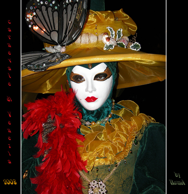 Venezia : carnevale 2008