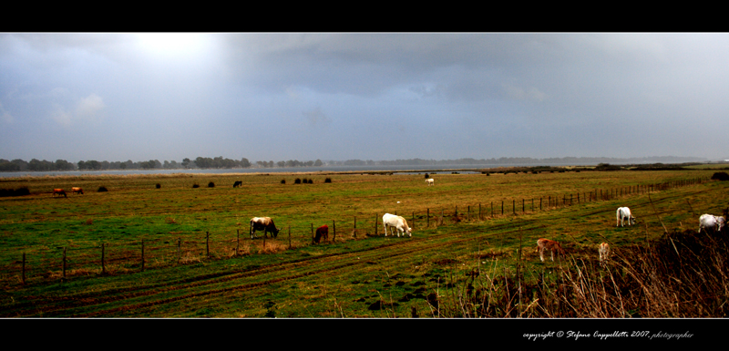 L'inizio � la fine