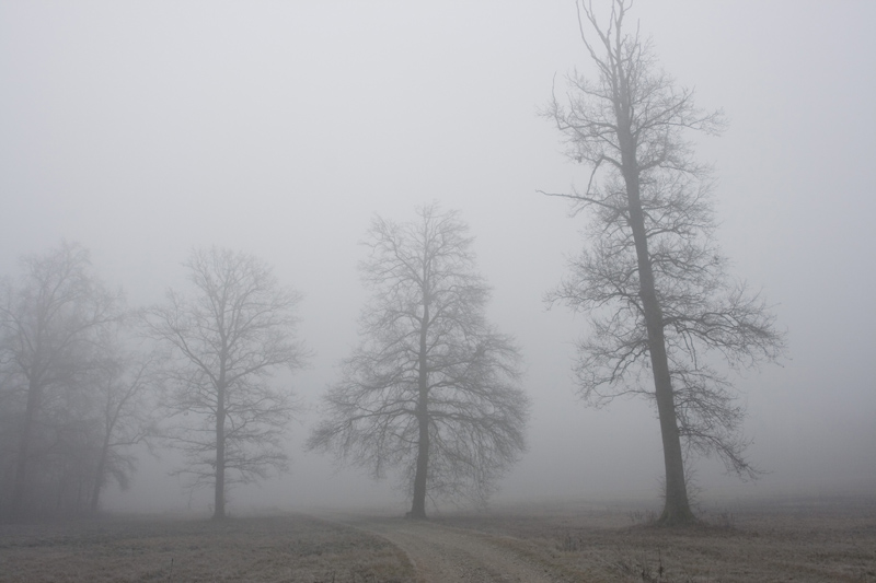 Avvolti nel silenzio