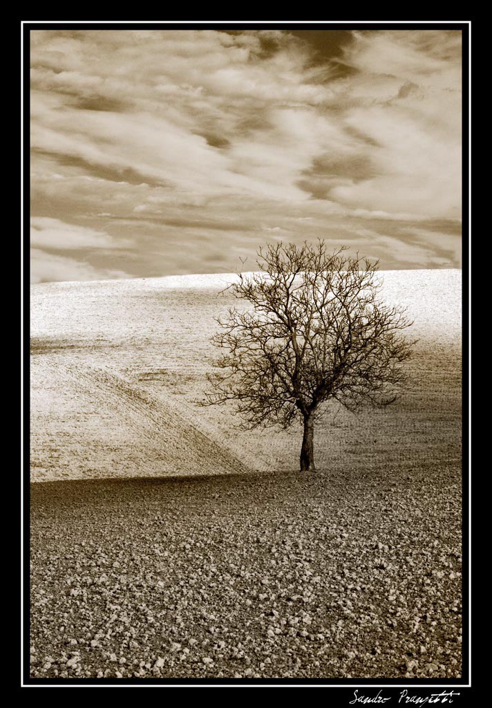 Son rimasto solo .....