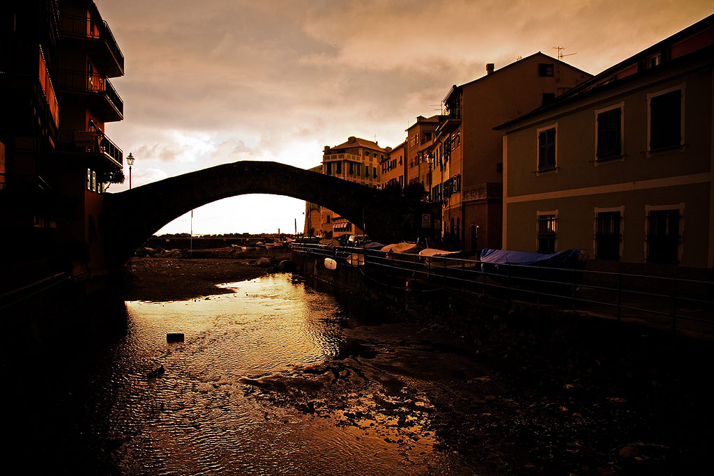Bogliasco polpettosa