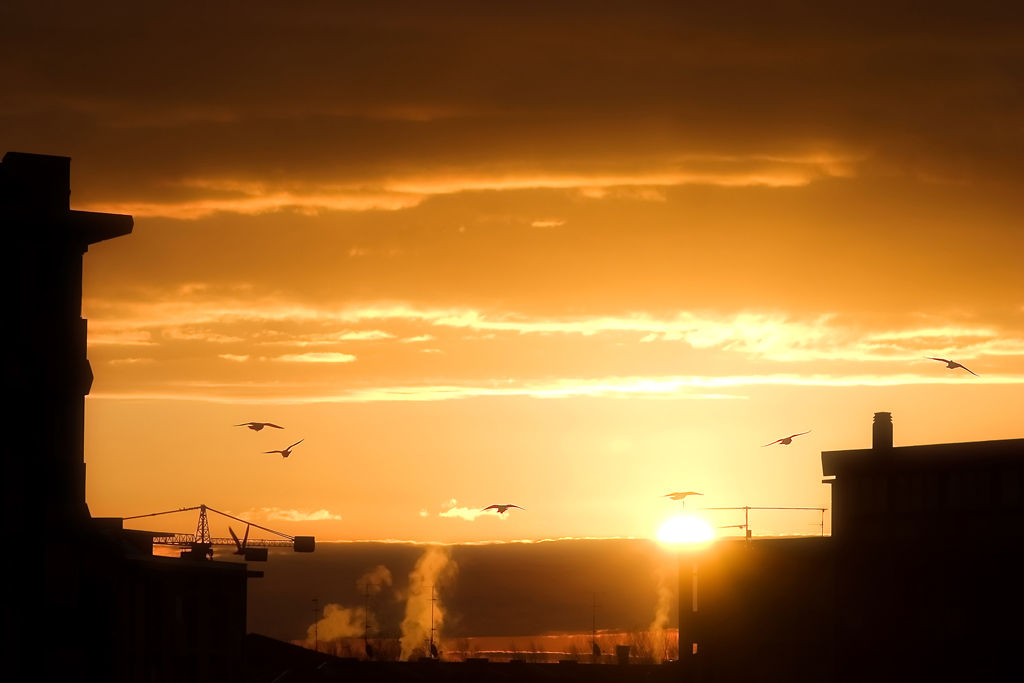 Alba dalla mia finestra