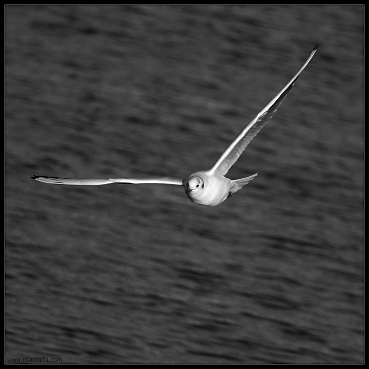 pochi minuti dopo le 9