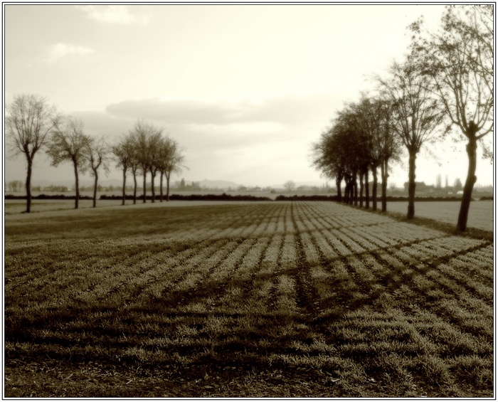 Ricordi sfocati dal tempo....