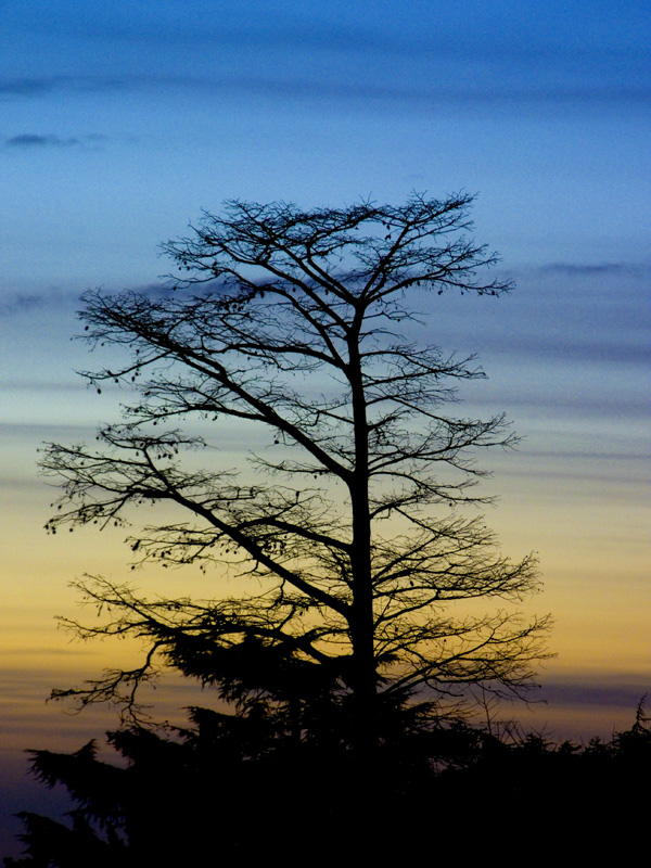 Fuori dalla mia finestra