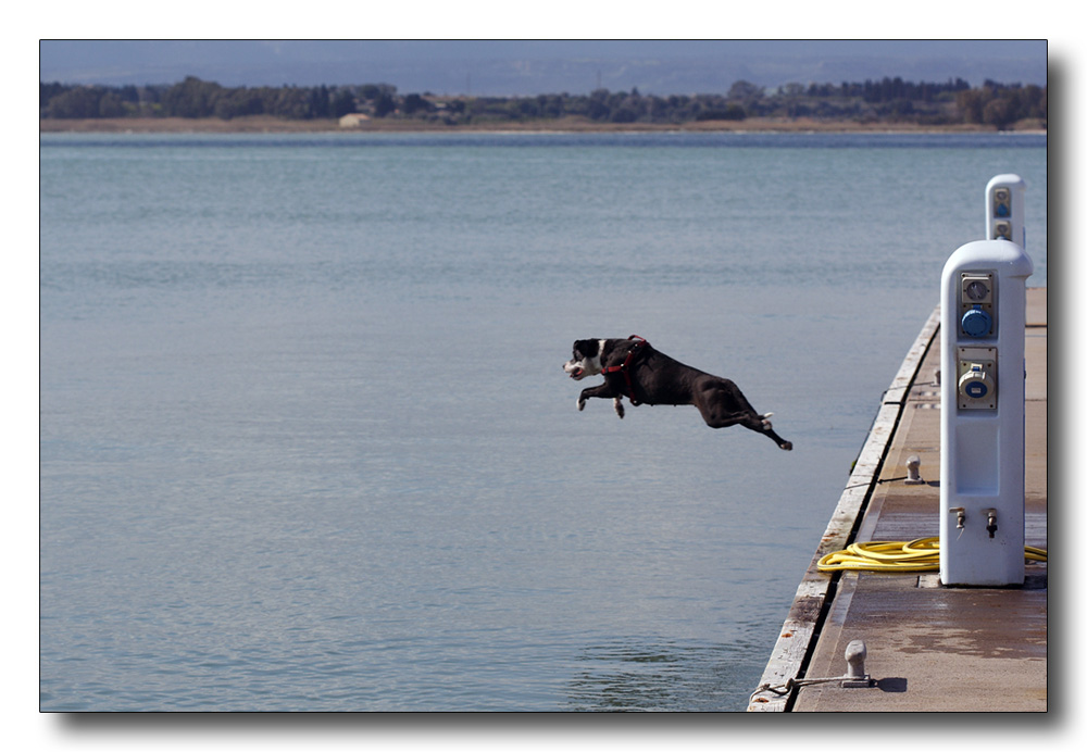 perch� si � tuffata?