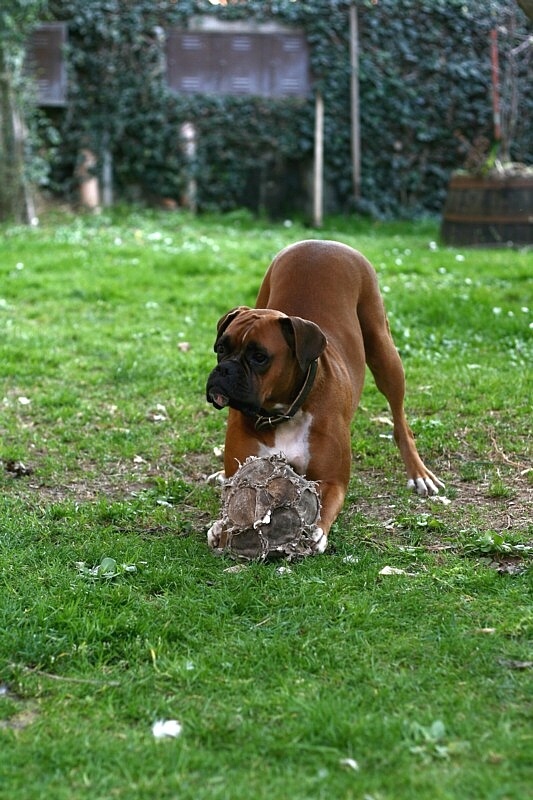 Innocenti distrazioni...