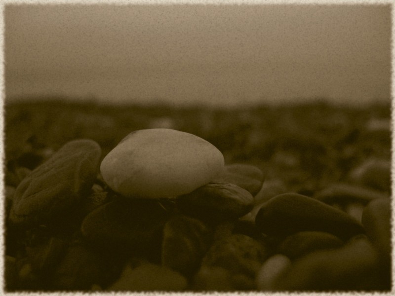 Ultima alba sul mare...